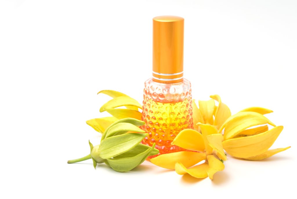 Ylang Ylang Yağı Saç İçin Nasıl Kullanılır