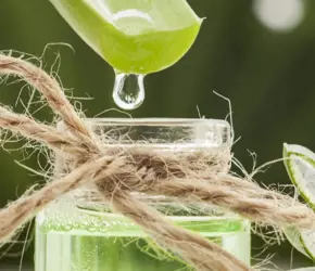 Aloe Vera’nın Faydaları: Aloe Vera ile Cilt Bakımı Önerileri