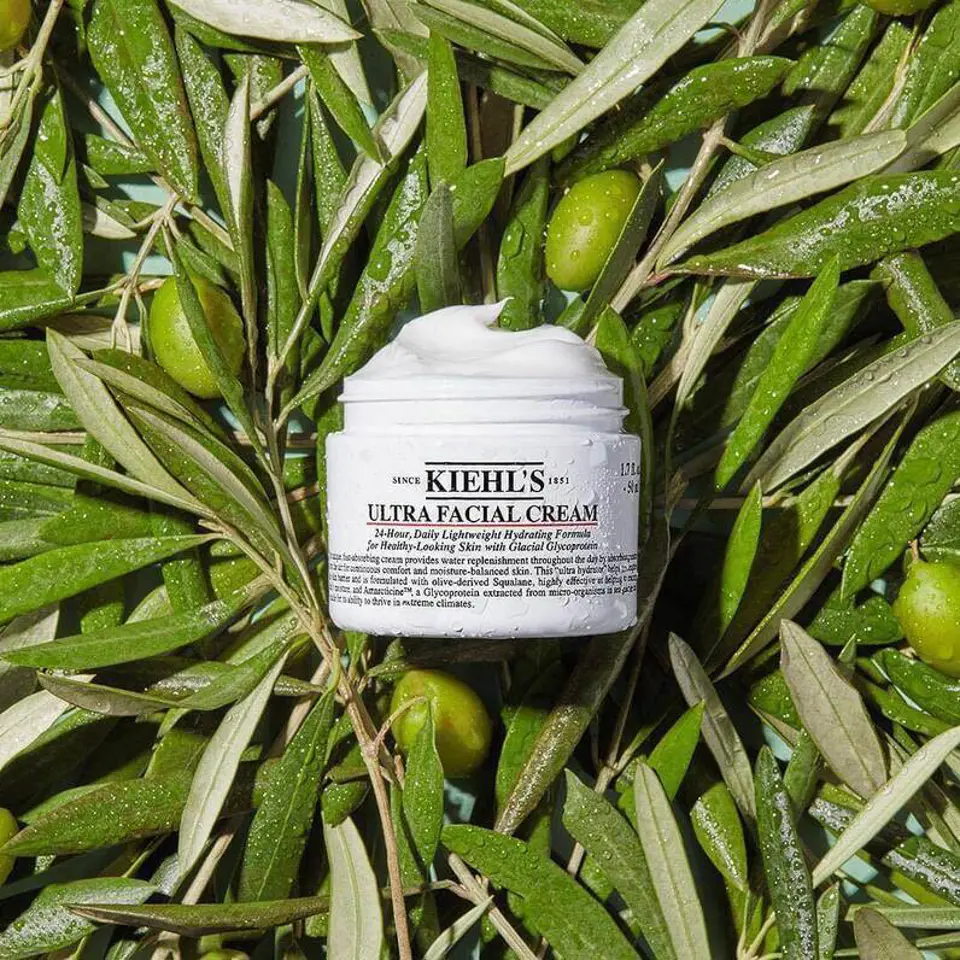 Kiehl’s Ultra Facial Cream Ne İçerir?