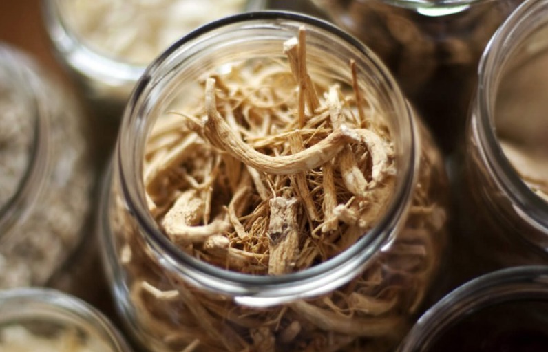 Ginseng Nedir, Faydaları Nelerdir?