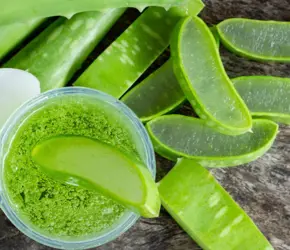 Aloe Vera Yüz Bakım Kremi Nedir? Nasıl Kullanılır?