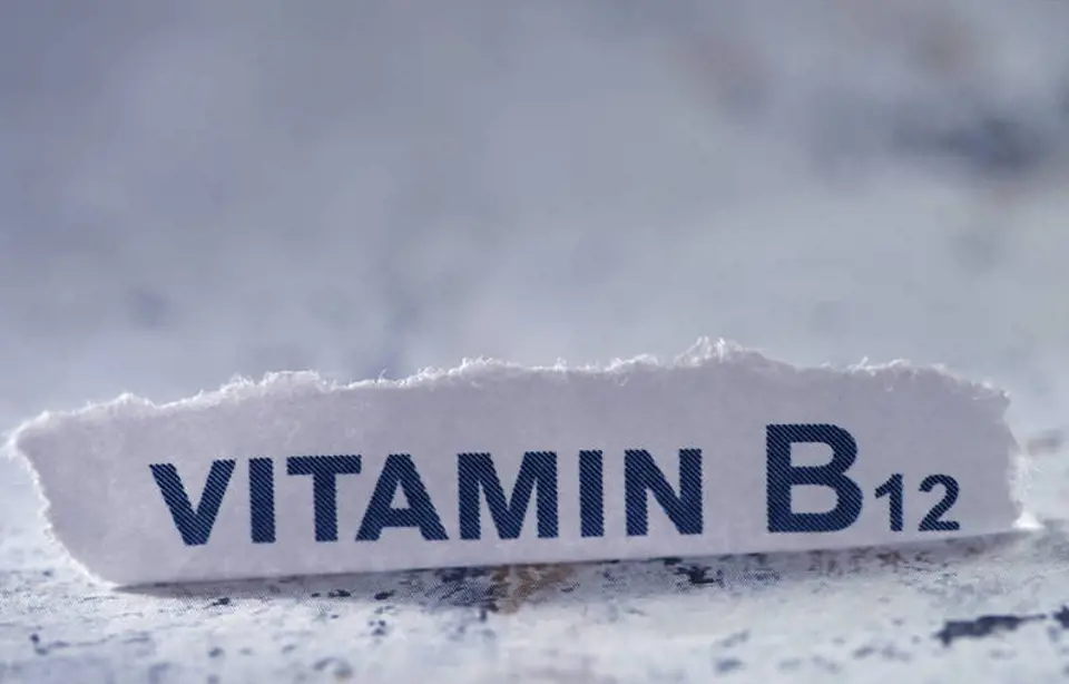 B Vitamini