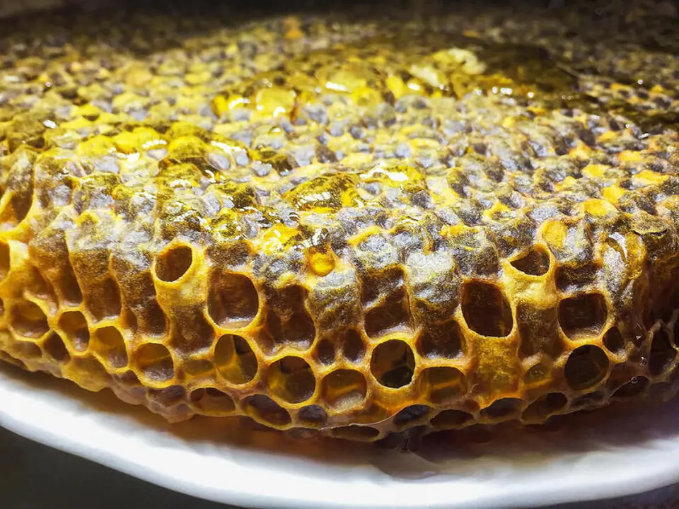 Propolis Cilde Faydaları Nedir?