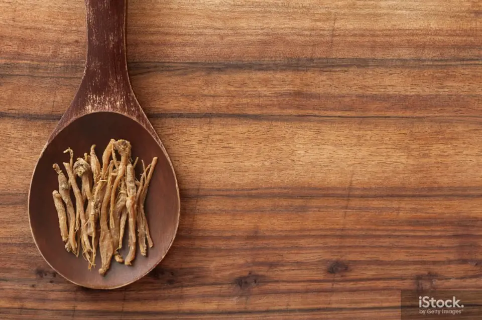 Ginseng Nedir?