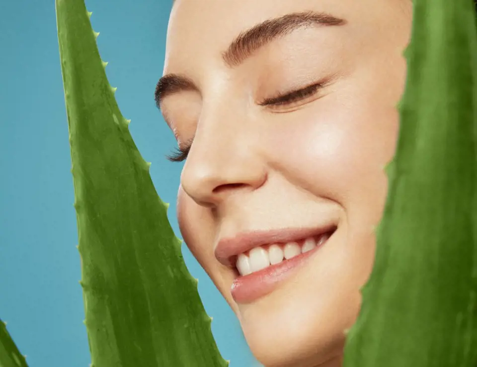 Garnier Hyaluronik Aloe Krem